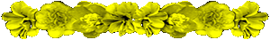<img:stuff/AllYelFlowerDivSM.gif>