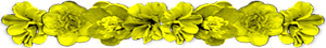 <img:stuff/AllYelFlowerDivSM.png>