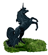 BlackUnicorn-revBy*Artsie_ladie*