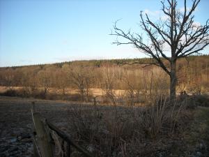 <img300*0:stuff/And_a_corner_of_the_small_pasture..jpg>