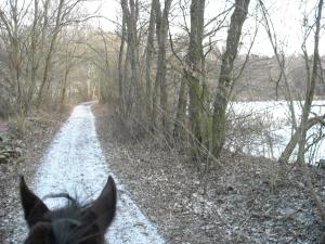 <img300*0:stuff/And_a_new_path.jpg>