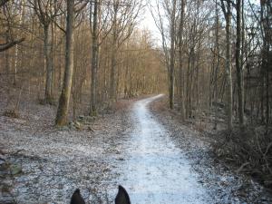 <img300*0:stuff/And_more_paths_%3aP.jpg>