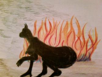 <img0*250:stuff/Anthro_Cat-woman.jpg>
