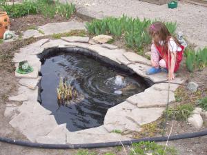 <img300*0:stuff/April%20057.jpg>