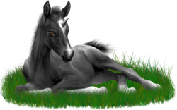 <img:stuff/ArabianFoalUniCharBlkSM_rev.png>