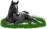 <img:stuff/ArabianFoalUniCharBlkXSM_rev.png>