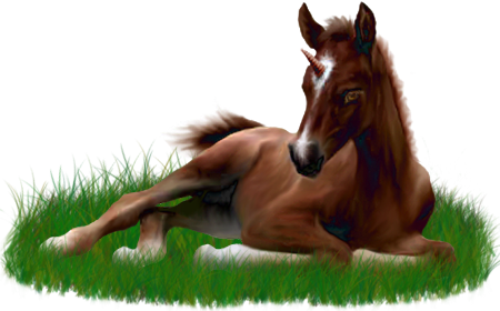 <img:stuff/ArabianFoalUniDrkChestnut.png>