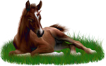 <img:stuff/ArabianFoalUniDrkChestnutXSM_rev.png>
