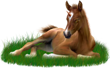 <img:stuff/ArabianFoalUniGoldChestnut.png>