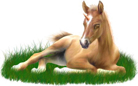 <img:stuff/ArabianFoalUniPal.png>