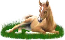 <img:stuff/ArabianFoalUniPalSM.png>