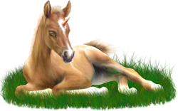 <img:stuff/ArabianFoalUniPalSM_rev.png>