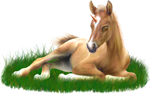 <img:stuff/ArabianFoalUniPalXSM.png>