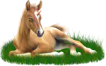 <img:stuff/ArabianFoalUniPalXSM_rev.png>
