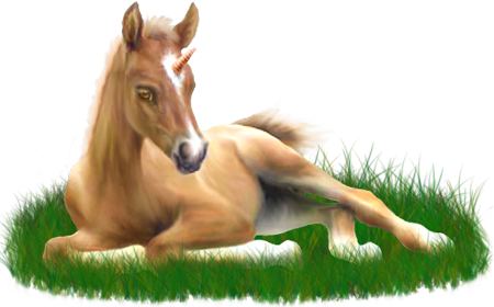 <img:stuff/ArabianFoalUniPal_rev.png>