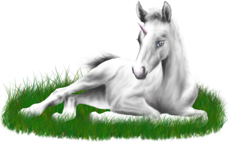 <img:stuff/ArabianFoalUniWhite.png>