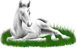 <img:stuff/ArabianFoalUniWhiteSM_rev.png>