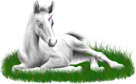 <img:stuff/ArabianFoalUniWhite_rev.png>