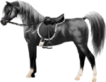 <img:stuff/ArtsieBlkArabianBlkEngSadBri150_rev_test.png>