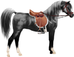 <img:stuff/ArtsieBlkArabianBrnEngSadBri150_test.png>