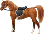<img:stuff/ArtsieChestnutArabianBlkEngSadBri150_rev_test.png>