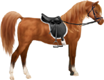 <img:stuff/ArtsieChestnutArabianBlkEngSadBri150_test.png>