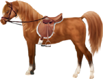 <img:stuff/ArtsieChestnutArabianBrnEngSadBri150_rev_test.png>