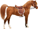 <img:stuff/ArtsieChestnutArabianBrnEngSadBri150_test.png>