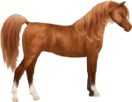 <img:stuff/ArtsieChestnutArabianNoTack150_test2.png>