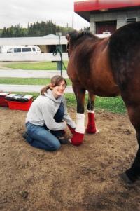 <img200*0:stuff/Ash%20on%20horse%20lab.jpg>