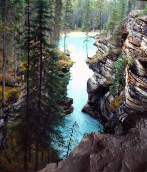 <img300*0:http://elftown.heddate.com/stuff/Athabasca%20Falls%201994.png>