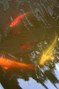 <img200*0:stuff/Aug11-06_0103.jpg>