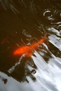 <img200*0:stuff/Aug11-06_0105.jpg>