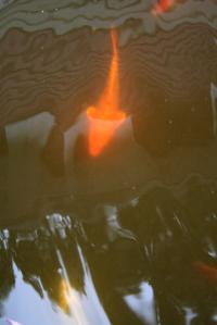 <img200*0:stuff/Aug11-06_0108.jpg>