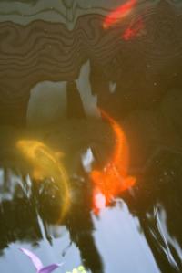 <img200*0:stuff/Aug11-06_0109.jpg>
