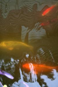 <img200*0:stuff/Aug11-06_0110.jpg>