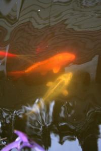 <img200*0:stuff/Aug11-06_0112.jpg>