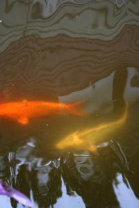 <img200*0:stuff/Aug11-06_0114.jpg>