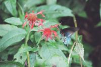 <img200*0:stuff/Aug22-06_m0017.jpg>