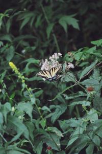 <img200*0:stuff/Aug22-06_m0020.jpg>