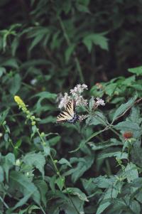 <img200*0:stuff/Aug22-06_m0022.jpg>