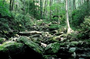 <img300*0:stuff/Aug22-06_m0064.jpg>