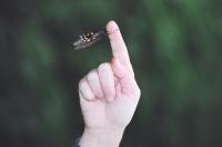 <img200*0:stuff/Aug22-06_m0092.jpg>