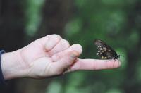 <img200*0:stuff/Aug22-06_m0093.jpg>