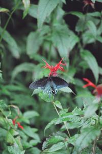 <img200*0:stuff/Aug22-06_m0095.jpg>