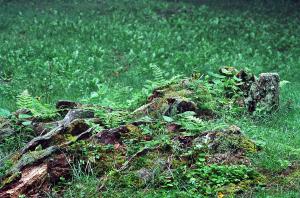 <img300*0:stuff/Aug22-06_m0102.jpg>