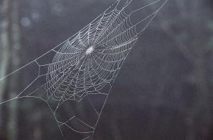 <img300*0:stuff/Aug22-06_m0106.jpg>