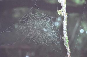 <img300*0:stuff/Aug22-06_m0110.jpg>