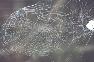 <img300*0:stuff/Aug22-06_m0113.jpg>