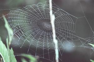 <img300*0:stuff/Aug22-06_m0114.jpg>